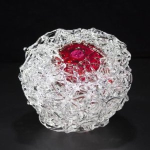 Cranberry Nest