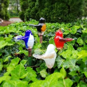 Birds Of Beauty For The Garden