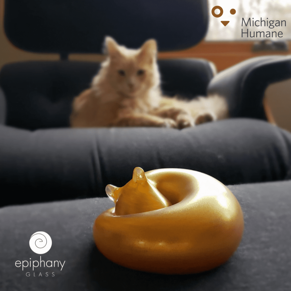 Michigan Humane And epiphany glass partnership