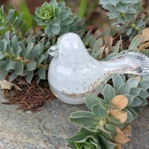 The Peaceful Dove