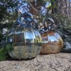 Enchanted Golden Blue Pumpkin - Image 3