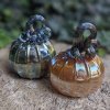 Enchanted Golden Blue Pumpkin - Image 2