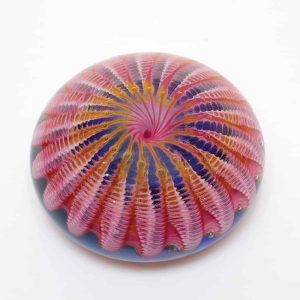 Pink Sea Urchin Signature Paperweight