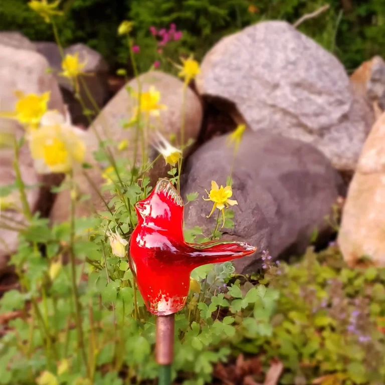 Cardinal for the Garden