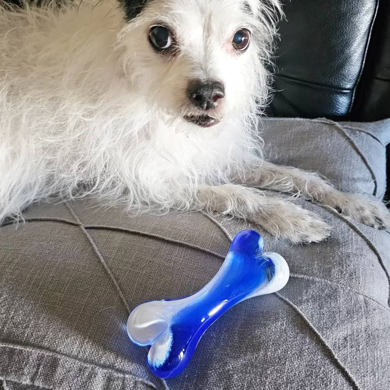 Royal Blue Dog Bone