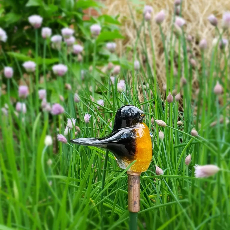 Robin for the Garden