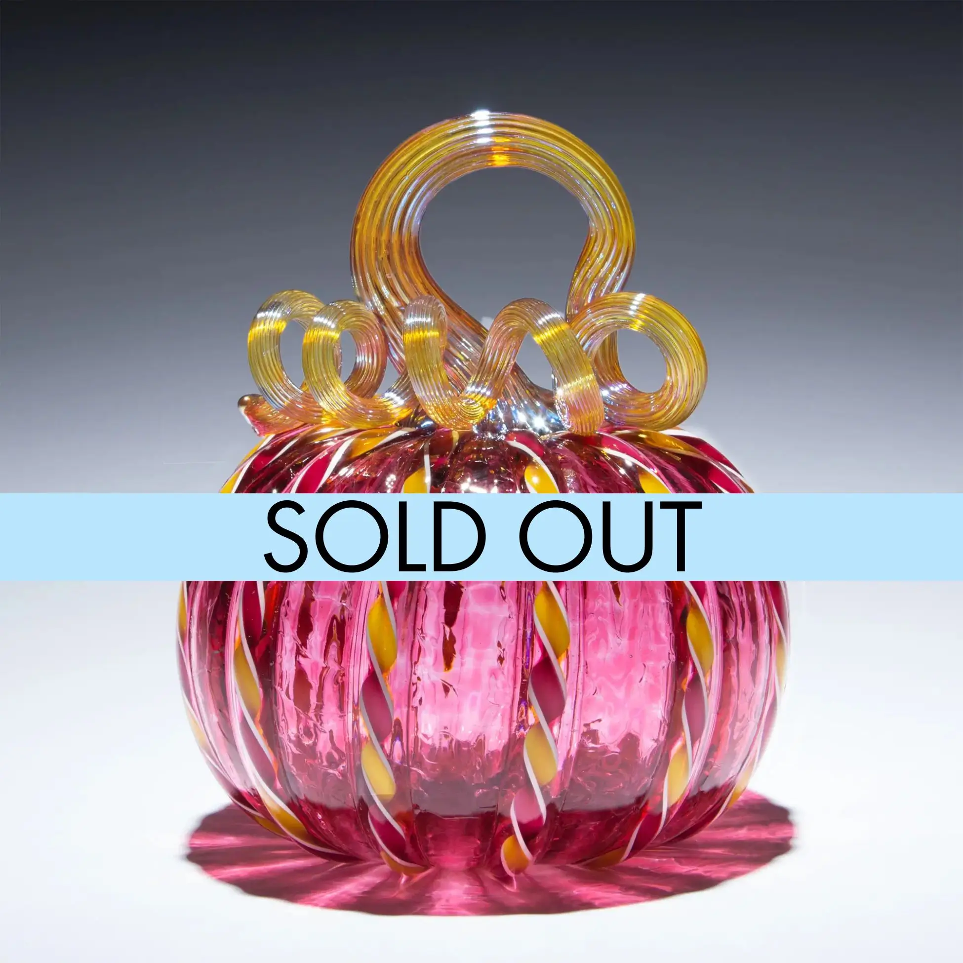 Goldilocks - 2025 Breast Cancer Awareness Pumpkin